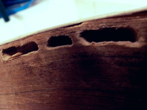 traces of termites in an old book